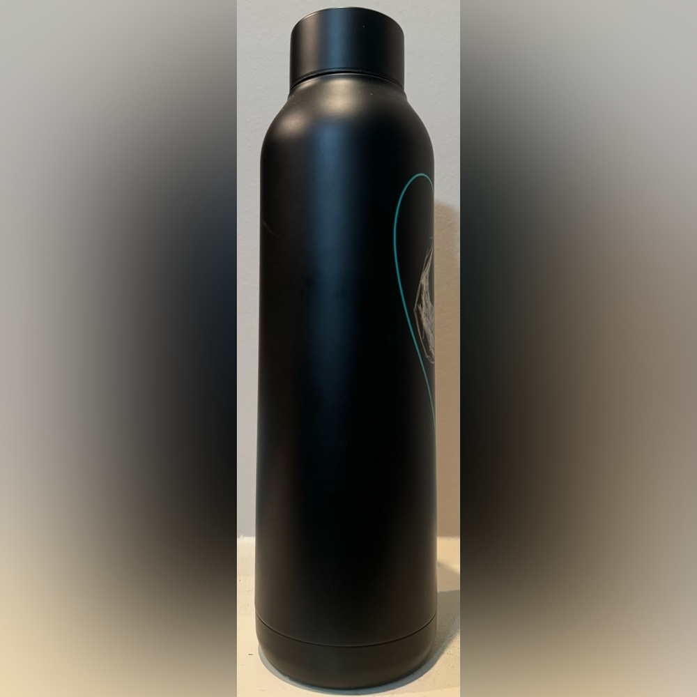 Disney Parks The Nightmare Before Christmas Sally Stainless Steel Water Bottle - Picture 2 of 8